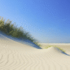 Sand